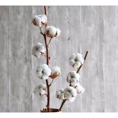 LEATHER + COTTON Scented Candle "Just Dope" - Rebourne Body + Home