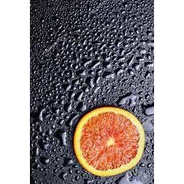 GRAPEFRUIT + RAIN Scented Candle "Evolve" - Rebourne Body + Home