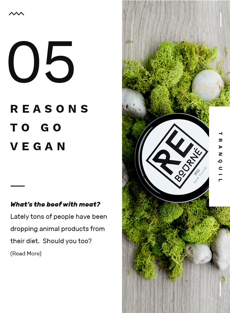 5 Reasons To Go Vegan