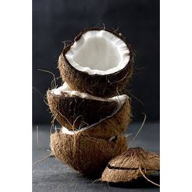 AMBER + COCONUT Natural Body Lotion "Humble Savage" - Rebourne Body + Home